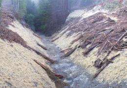 After: The project resulted in >5000 cu yds of sediment savings & restored fish passage. Excavated soil was endhauled off site. 