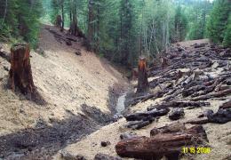 After: Sideslopes are excavated to match the natural hillslope (see stumps) and unearthed woody debris is spread over bare soil