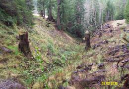 3 years later: Vegetation is becoming re-established along the restored channel sideslopes