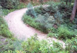 Before: Looking down towards the road from above the right sideslope of a culverted stream crossing 