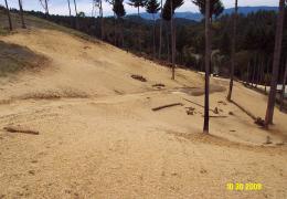 After:  Decommissioned roads and re-contoured slopes prevent future erosion