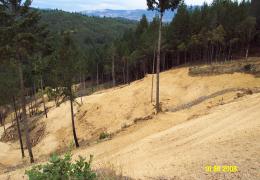 After: All roads have been decommissioned and re-contoured to prevent future erosion