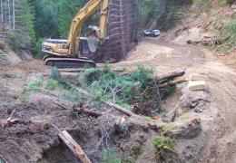 Before: This unculverted Humboldt (log) crossing was failing (see sink holes) and delivering eroded sediment downstream. 