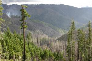 Illinois River watershed, Southern Oregon