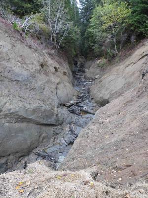 View looking upstream at recently exposed sandstone walls and restored natural channel in lower Bridge Creek canyon.
