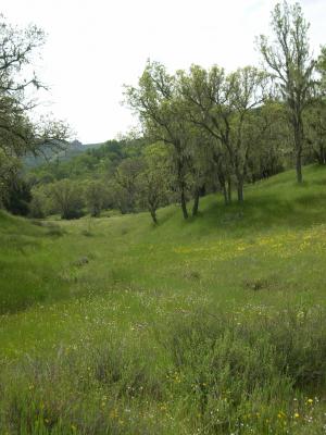 Bid package for contractors: Morro Bay Road Erosion Prevention Project (Updated)