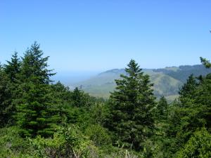 Lower Russian River Watershed from Pomo Canyon trail