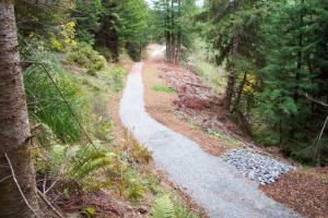 Former abandoned logging road converted to a public access trail in the Headwaters Forest Reserve