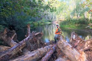 Large Wood Instream Habitat Enhancement Feature, Post-Construction