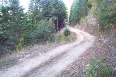 Before: Active landsliding along this poorly designed road threatens to deliver sediment to the stream below