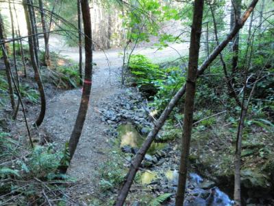 Before: The culvert at this stream crossing is undersized and poorly alligned with the channel