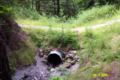 Before: Undersized culvert on the Headwaters Trail, a former logging road in the Headwaters Forest Reserve