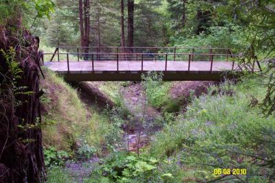 Two years after: Guard rails have been installed for pedestrians. The site is quickly revegetating with willow and groundcover.