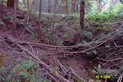 Before: View of the outlet of an seriously undersized, rusted culvert in need of replacement