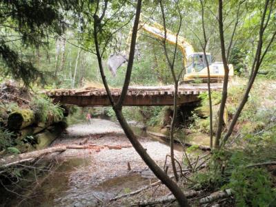 Before: Railroad flat-car bridge with old-growth redwood abutments