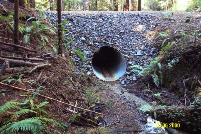 After: Properly sized culvert is installed at the base of fill. Rock armor protects the steep outboard fillslope from erosion.