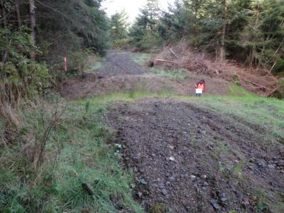 After: Road had been ripped (deocmpacted) and a cross-road drain has been installed to disperse runoff and prevent erosion