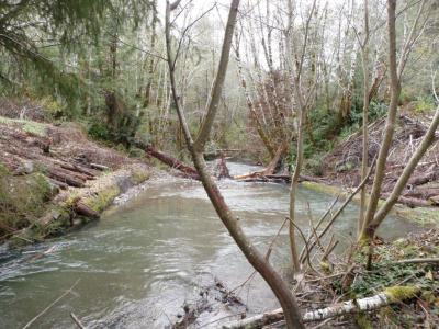 After: The bridge has been removed and unstable fill has been excavated from the channel sideslopes