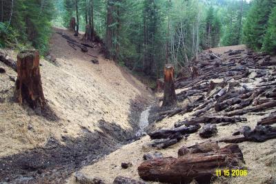 After: Sideslopes are excavated to match the natural hillslope (see stumps) and unearthed woody debris is spread over bare soil