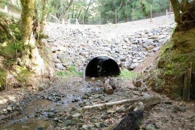 After: The new culvert is inset into the streambed at the base of fill and is sized to accomodate both fish passag & peak flows