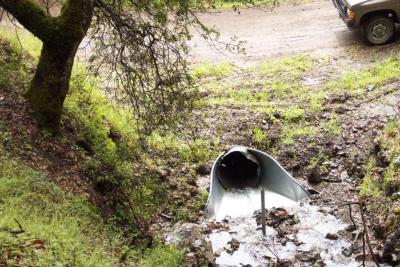 After: A flared inlet paired with a single post trash rack increases effective culvert capacity and decreases plug potential.