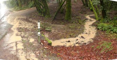 Before: Poorly-designed, un-permitted hilltop grading and road construction discharges sediment to a tributary of Outlet Creek.