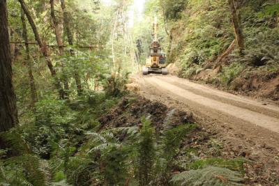 Before: Unstable streamside road reach with high potential for sediment delivery