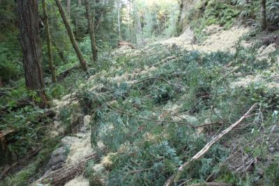 After: Unstable fill has been excavated and endhauled, and mulch has been applied to protect bare soil