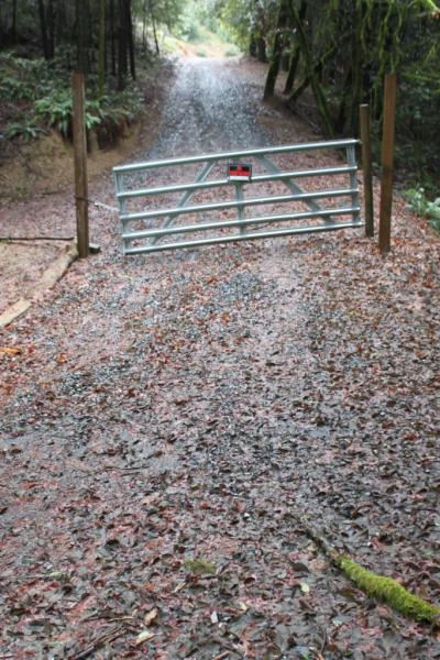 After: Implementation of proper road drainage techniques disipates runoff, dramatically reducing erosion and sediment delivery.