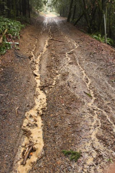 Before: Surface erosion of this unpaved road delivers excessive fine sediment to a tributary of Outlet Creek.
