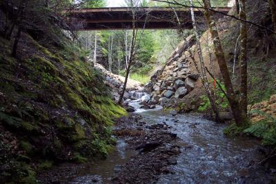 After: Looking upstream at the excavated stream channel and newly installed bridge (top of photo) during peak winter streamflow