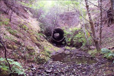 Before: Looking upstream at the perched culvert outlet . The culvert was a barrier to fish migration.