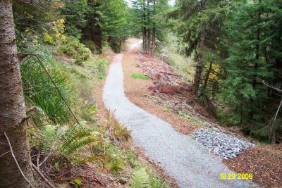 After: Former abandoned logging road converted to trail for public access in the Headwaters Forest Reserve.