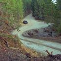 Before:Former logging road prior to trail conversion