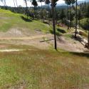 1 year later: Hillslopes have been stabilized and revegetation is well underway.