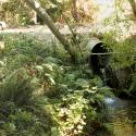 Before: Perched culvert blocking upstream fish passage to Vincent Creek, a tributary to the lower Mad River