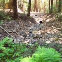 View of upgraded crossing looking downstream at the culvert inlet. The channel has been armored with rock to prevent erosion. 