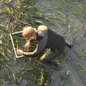 PWA staff assessing eelgrass shoot density at the HSU Aquatic Center after construction of the new dock, Eureka, CA.