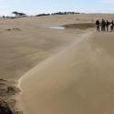 Transverse dune front and vernal pool