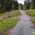 9 months later: Vegetation is re-establishing itself along the trail corridor.