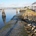 Shoreline adjacent to the HSU Aquatic Center prior to construction of the new floating dock and pilings, Eureka, CA.