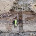 Buried soil in wetland stratigraphy indicating active holocene tectonics.