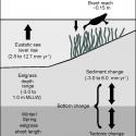 Schematic representation of model inputs