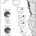 Flyway perspective of potential eelgrass response to sea level rise