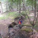 Before: Gully erosion at a stream crossing on an abandoned logging road