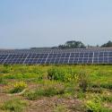 View of complete microgrid array looking northward from the southern project boundary (September 17, 2021)